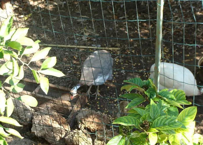 Promenade Vendégház Dubrovnik