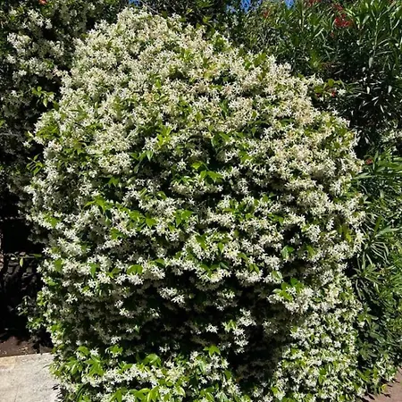 Promenade Vendégház 3*