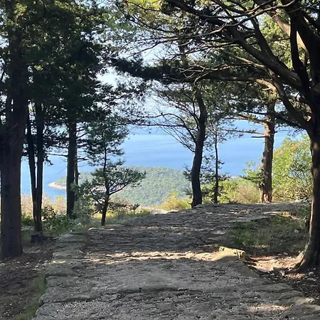 بيت ضيافة Promenade دوبروفينك