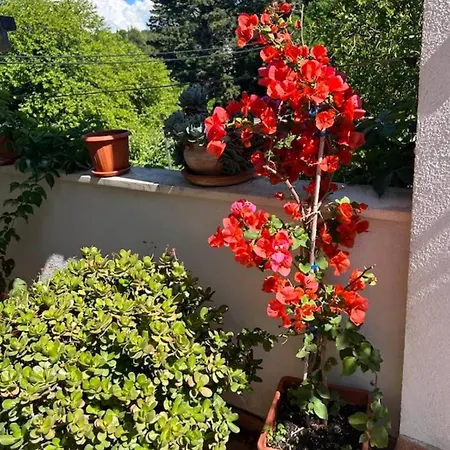 House Paskojević